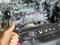 Двигатель 2AZ-FE Toyota-Lexus ДВС 1mz 2az k24 2gr 3gr 1az… за 170 500 тг. в Алматы