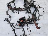 Коса двигателя провода на Audi A8 D4 4.2 за 811 тг. в Шымкент