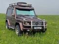 Mercedes-Benz G 300 1990 года за 6 200 000 тг. в Алматы – фото 8