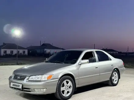 Toyota Camry 1999 года за 4 100 000 тг. в Шымкент – фото 9