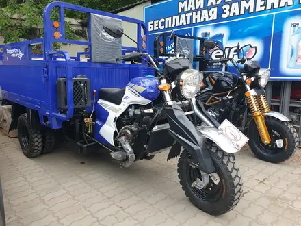  мотоцикл TEKKEN 300 R LINE PRO 2024 года за 1 030 000 тг. в Караганда – фото 49