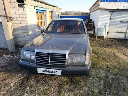 Mercedes-Benz E-Class, 1991