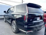 Cadillac Escalade 2023 годаүшін56 995 000 тг. в Алматы – фото 2