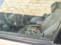 Mercedes-Benz GL 450 2007 года за 5 500 000 тг. в Алматы – фото 4