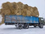 КамАЗ  4310 1989 годаүшін3 000 000 тг. в Талдыкорган – фото 3