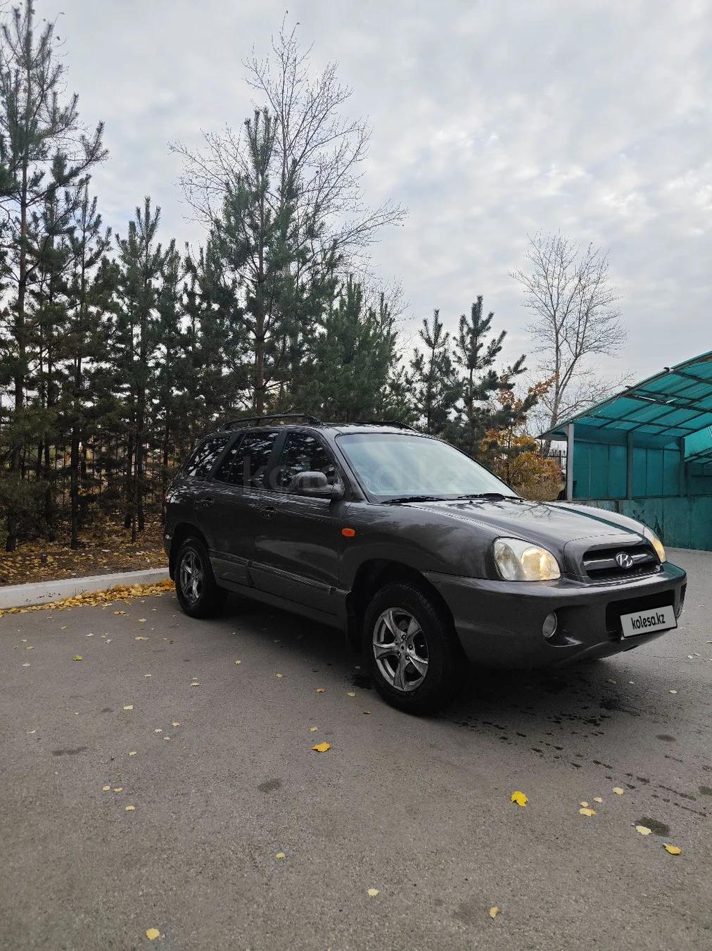 Hyundai Santa Fe 2005 г.