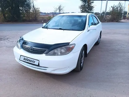 Toyota Camry 2002 года за 4 800 000 тг. в Алматы