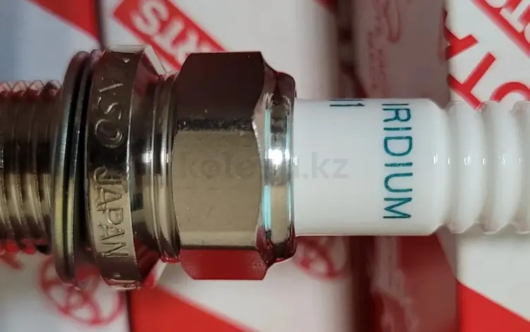 Tibro_Motors в Алматы