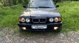 BMW 525 1995 годаүшін2 500 000 тг. в Алматы