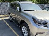 Lexus GX 460 2021 года за 46 100 000 тг. в Шымкент – фото 3