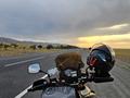 Suzuki  V-Strom DL 1000 2014 годаүшін4 500 000 тг. в Алматы