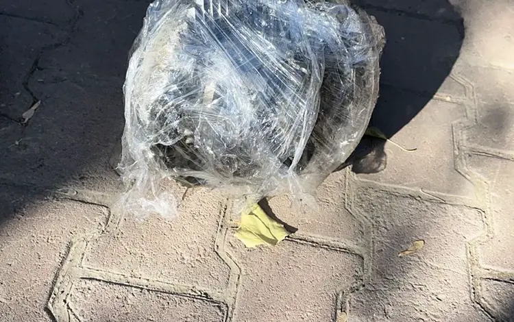 Редуктора передний и задний на 105 за 400 000 тг. в Астана