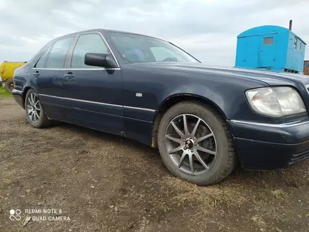 Mercedes-Benz S 320 1995 года за 2 600 000 тг. в Петропавловск – фото 6