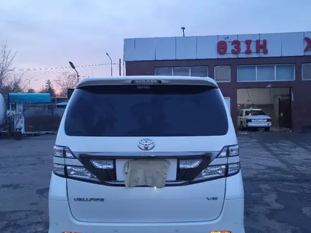 Toyota Vellfire 2010 года за 7 213 090 тг. в Алматы – фото 9