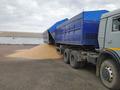 МАЗ  Полуприцеп самосвальный 2008 года за 11 500 000 тг. в Костанай – фото 3