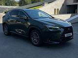 Lexus NX 250 2025 года за 27 500 000 тг. в Алматы – фото 3