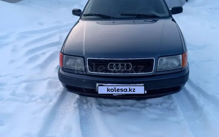Audi 100 1992 года за 2 650 000 тг. в Петропавловск