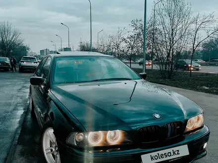 BMW 525 2001 года за 7 000 000 тг. в Алматы – фото 3