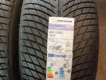 Michelin pilot alpin 5 265/35 R21 maybach 223 за 350 000 тг. в Алматы