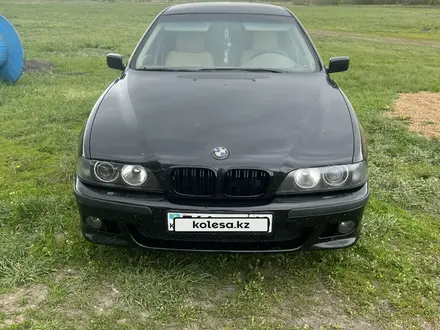 BMW 523 1996 года за 3 600 000 тг. в Костанай – фото 2