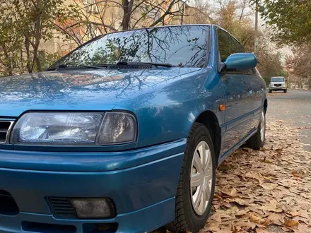 Nissan Primera 1995 года за 1 500 000 тг. в Шымкент