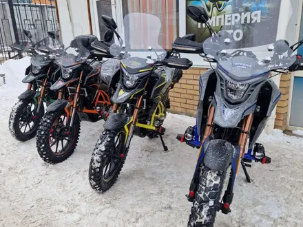  мотоцикл TEKKEN 300 R LINE PRO 2024 года за 1 030 000 тг. в Актобе – фото 11
