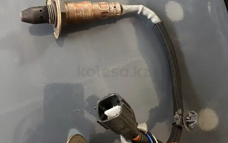 Лямбда зонд за 60 000 тг. в Усть-Каменогорск