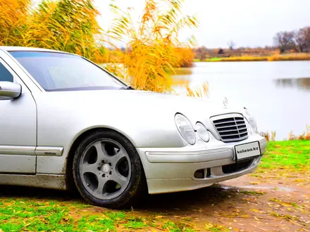 Mercedes-Benz E 430 2000 года за 4 800 000 тг. в Шымкент – фото 6