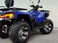 Honda  TRX 300 2026 года за 299 000 тг. в Алматы – фото 20