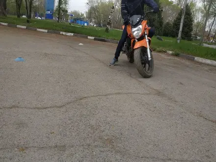 Мото школа, Инструктор по вождению на мотоцикле в Алматы – фото 13