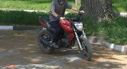 Мото школа, Инструктор по вождению на мотоцикле в Алматы – фото 3
