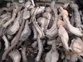 Глушитель средняя часть последняя часть за 15 000 тг. в Алматы – фото 4