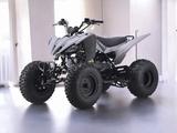  Sharmax Raizer 250 RaceCup 2025 года за 990 000 тг. в Алматы