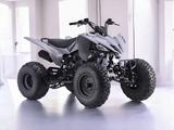  Sharmax Raizer 250 RaceCup 2025 года за 990 000 тг. в Алматы – фото 2