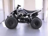  Sharmax Raizer 250 RaceCup 2025 года за 990 000 тг. в Алматы – фото 3