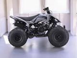  Sharmax Raizer 250 RaceCup 2025 года за 990 000 тг. в Алматы – фото 4