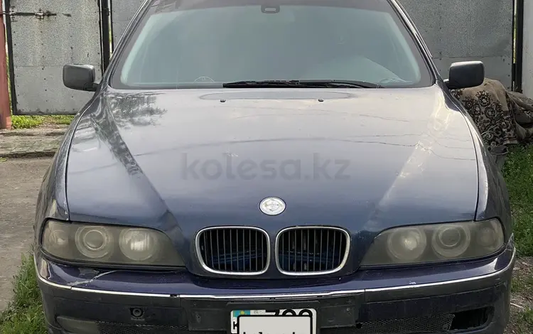 BMW 520 1996 годаүшін1 500 000 тг. в Панфилово (Талгарский р-н)