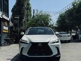 Lexus NX 250 2022 годаүшін26 500 000 тг. в Шымкент