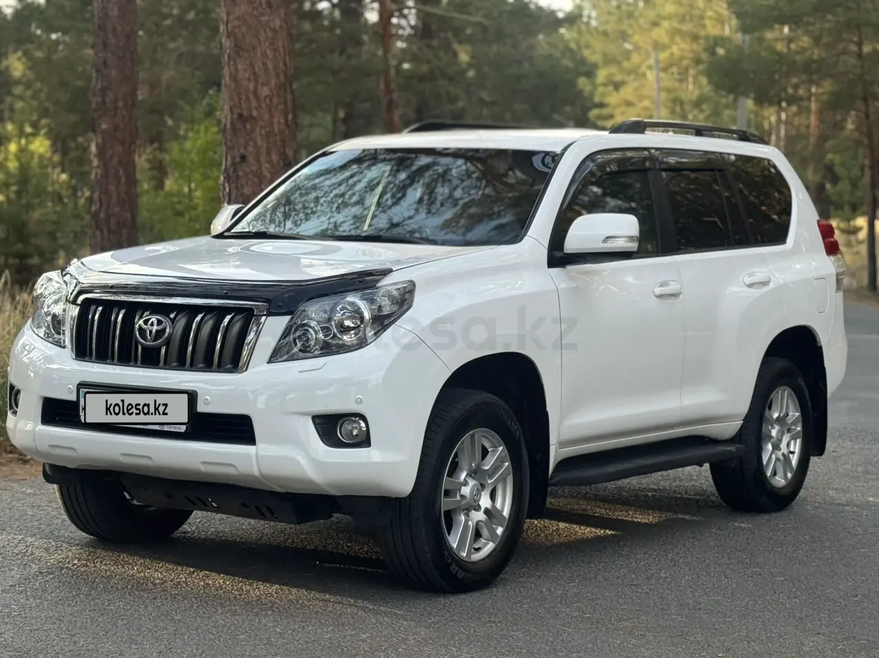 Toyota Land Cruiser Prado, 2010