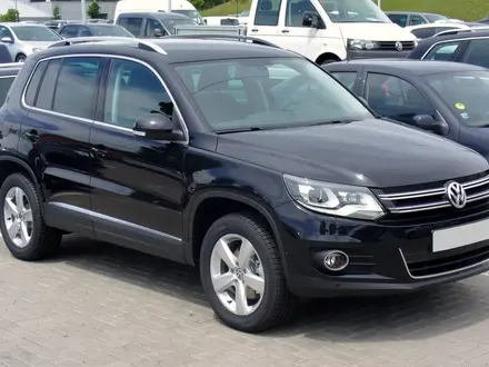 Volkswagen Tiguan 2009 года за 310 000 тг. в Алматы