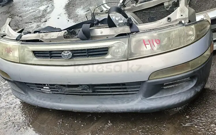 Ноускат морда на Люсида Эмина за 1 000 тг. в Алматы