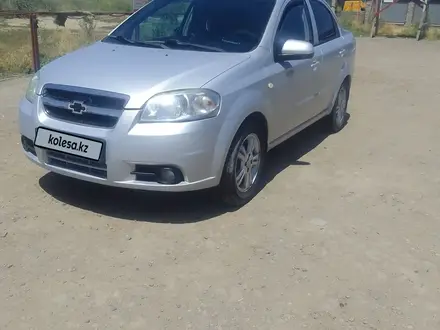 Chevrolet Aveo 2013 года за 2 800 000 тг. в Алматы