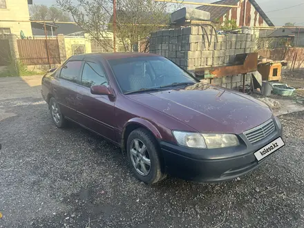 Toyota Camry 2001 года за 3 200 000 тг. в Алматы