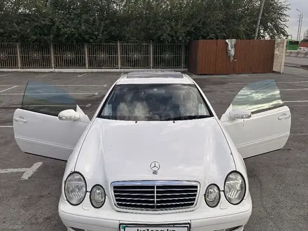 Mercedes-Benz CLK 320 1999 годаүшін6 500 000 тг. в Шымкент – фото 2