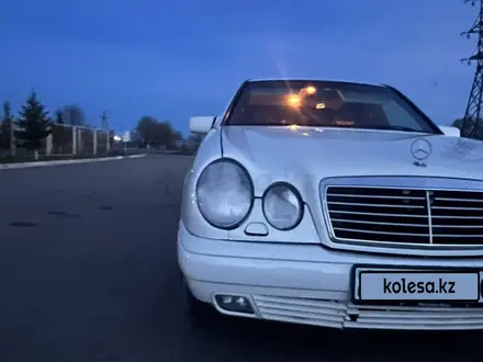 Mercedes-Benz E 280 1996 года за 2 300 000 тг. в Тараз – фото 13