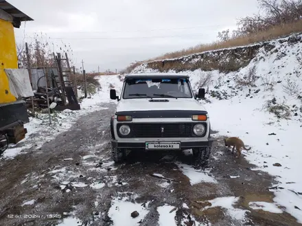 ВАЗ (Lada) Lada 2121 2000 года за 1 600 000 тг. в Степняк – фото 11