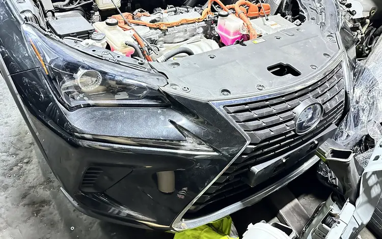 Ноускат NX за 1 500 000 тг. в Караганда