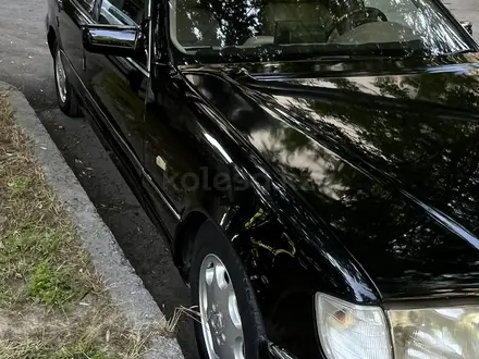 Mercedes-Benz S 320 1998 года за 3 150 000 тг. в Шымкент