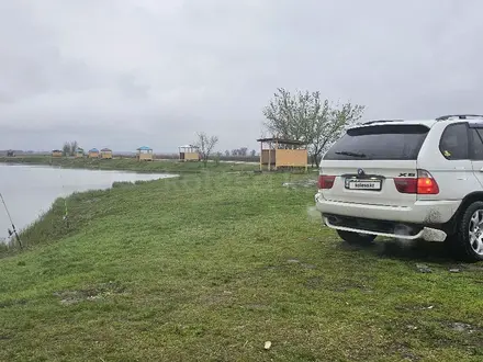 BMW X5 2001 года за 5 500 000 тг. в Алматы – фото 7