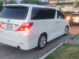 Toyota Alphard 2010 годаүшін7 500 000 тг. в Туркестан – фото 4